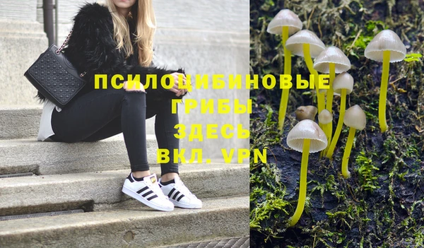 таблы Аркадак