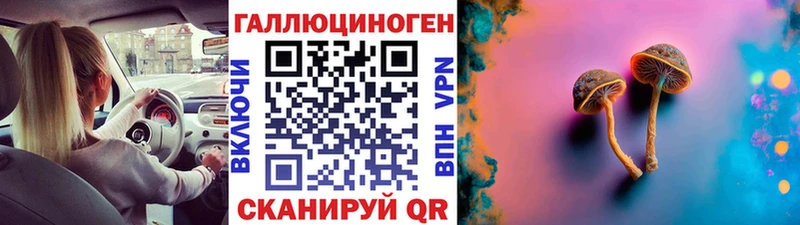 Псилоцибиновые грибы Cubensis  Удачный 
